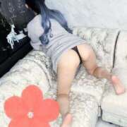 ヒメ日記 2026/03/21 00:01 投稿 春【はる】 輝女