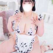 ヒメ日記 2025/05/14 10:02 投稿 るね ちゃんこ千葉東金店