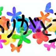 ヒメ日記 2025/04/24 23:18 投稿 もか 丸妻 横浜本店