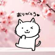 ヒメ日記 2025/04/30 18:55 投稿 もか 丸妻 横浜本店