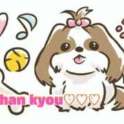 ヒメ日記 2025/05/19 18:54 投稿 もか 丸妻 横浜本店