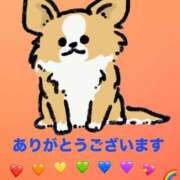 ヒメ日記 2025/05/29 21:11 投稿 もか 丸妻 横浜本店