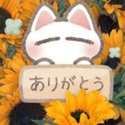 ヒメ日記 2025/06/29 16:17 投稿 もか 丸妻 横浜本店