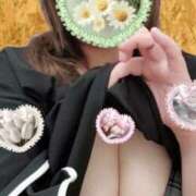 ヒメ日記 2025/07/19 20:19 投稿 もか 丸妻 横浜本店