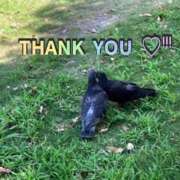 ヒメ日記 2025/08/23 02:27 投稿 もか 丸妻 横浜本店