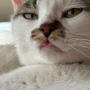 ヒメ日記 2025/08/09 08:29 投稿 いろは 即アポ奥さん～静岡店～