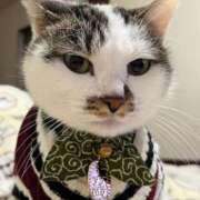 ヒメ日記 2025/09/16 09:46 投稿 いろは 即アポ奥さん～静岡店～