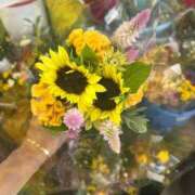 ヒメ日記 2025/08/01 05:29 投稿 ここみ 即アポ奥さん～静岡店～