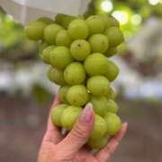 ヒメ日記 2025/08/08 08:09 投稿 ここみ 即アポ奥さん～静岡店～