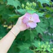 ヒメ日記 2025/09/26 13:09 投稿 ここみ 即アポ奥さん～静岡店～