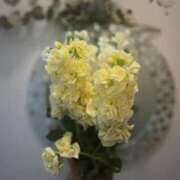 ヒメ日記 2025/10/20 02:59 投稿 ここみ 即アポ奥さん～静岡店～