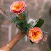 ヒメ日記 2025/10/26 02:09 投稿 ここみ 即アポ奥さん～静岡店～