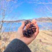 ヒメ日記 2025/11/13 08:59 投稿 ここみ 即アポ奥さん～静岡店～