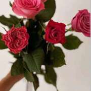 ヒメ日記 2025/11/14 02:03 投稿 ここみ 即アポ奥さん～静岡店～