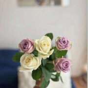 ヒメ日記 2025/11/23 02:39 投稿 ここみ 即アポ奥さん～静岡店～