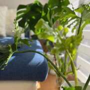 ヒメ日記 2025/11/30 08:29 投稿 ここみ 即アポ奥さん～静岡店～