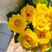 ヒメ日記 2025/12/02 01:29 投稿 ここみ 即アポ奥さん～静岡店～