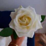 ヒメ日記 2025/12/20 11:09 投稿 ここみ 即アポ奥さん～静岡店～