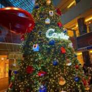 ヒメ日記 2025/12/24 19:29 投稿 ここみ 即アポ奥さん～静岡店～