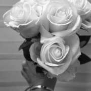 ヒメ日記 2026/02/05 03:49 投稿 ここみ 即アポ奥さん～静岡店～