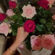 ヒメ日記 2026/02/11 06:09 投稿 ここみ 即アポ奥さん～静岡店～