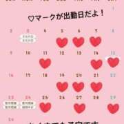 ヒメ日記 2025/10/22 05:39 投稿 ひな 即アポ奥さん～静岡店～