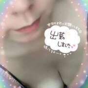 ヒメ日記 2025/12/15 14:39 投稿 ふうか 即アポ奥さん～静岡店～