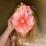 ヒメ日記 2025/11/23 15:59 投稿 ほしな 即アポ奥さん～静岡店～