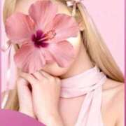 ヒメ日記 2026/01/25 17:09 投稿 ほしな 即アポ奥さん～静岡店～