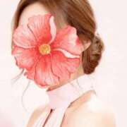 ヒメ日記 2026/01/31 11:59 投稿 ほしな 即アポ奥さん～静岡店～