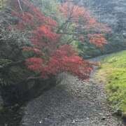 みみこ おはよう 即アポ奥さん～静岡店～