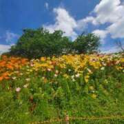 ヒメ日記 2025/06/16 08:45 投稿 りと 即アポ奥さん～静岡店～