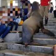 ヒメ日記 2025/09/25 10:59 投稿 りと 即アポ奥さん～静岡店～