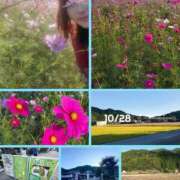 ヒメ日記 2025/10/28 23:49 投稿 りと 即アポ奥さん～静岡店～