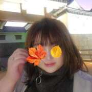 ヒメ日記 2025/11/28 22:39 投稿 りと 即アポ奥さん～静岡店～