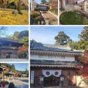 りと 袋井にて心を洗うの巻 即アポ奥さん～静岡店～