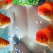 ヒメ日記 2026/01/03 23:39 投稿 りと 即アポ奥さん～静岡店～