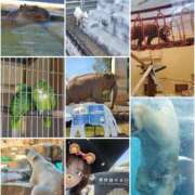 ヒメ日記 2026/04/03 23:59 投稿 りと 即アポ奥さん～静岡店～