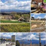 ヒメ日記 2026/04/08 23:29 投稿 りと 即アポ奥さん～静岡店～