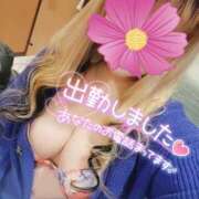 ヒメ日記 2025/11/25 12:23 投稿 るる 即アポ奥さん～静岡店～