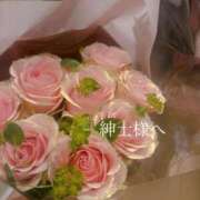 ころん お知らせ🙏 One More 奥様　五反田店