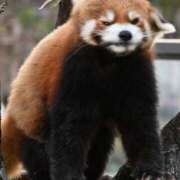 ヒメ日記 2025/06/08 15:07 投稿 しいな マリン宮殿雄琴店