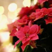 ヒメ日記 2026/01/19 09:13 投稿 体験かこ ACCENT[アクセントグループ]