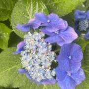 ヒメ日記 2025/06/21 22:40 投稿 きらり クラブダイアモンド新宿店