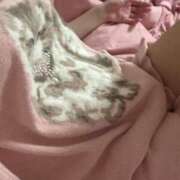 ヒメ日記 2025/09/03 09:29 投稿 りり ラズベリードール