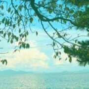 ヒメ日記 2025/05/05 17:58 投稿 ゆりえ 熟女の風俗最終章 沼津店