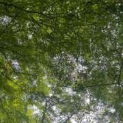 ヒメ日記 2025/06/27 10:48 投稿 ゆりえ 熟女の風俗最終章 沼津店