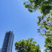 ヒメ日記 2025/05/08 14:46 投稿 西田みさき 月の真珠-五反田-