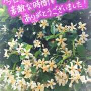 ヒメ日記 2025/05/11 21:56 投稿 西田みさき 月の真珠-五反田-