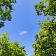 ヒメ日記 2025/05/15 11:46 投稿 西田みさき 月の真珠-五反田-